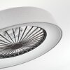 Moli Deckenventilator LED Grau, Weiß, 1-flammig, Fernbedienung