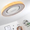 Penon Deckenventilator LED Weiß, 1-flammig, Fernbedienung