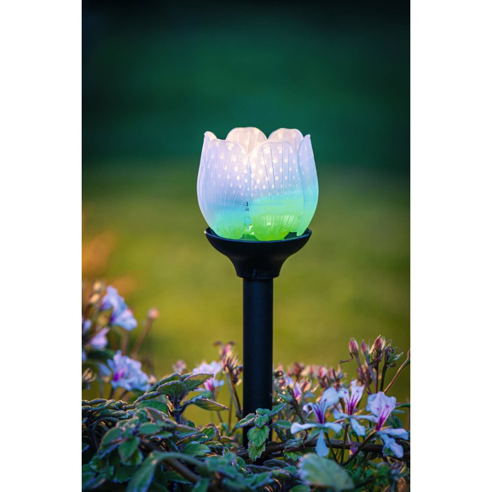 Eglo BLÜTE Solarleuchte LED Schwarz, 2-flammig, Farbwechsler main product photo