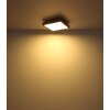 Globo DORO Deckenpanel LED Holzoptik, Schwarz, 1-flammig