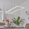 Omega Pendelleuchte LED Weiß, 1-flammig