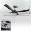 Tjerne Deckenventilator LED Schwarz, 1-flammig, Fernbedienung