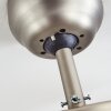 Hamnvik Deckenventilator Nickel-Matt, 1-flammig Hamnvik Deckenventilator Nickel-Matt, 1-flammig