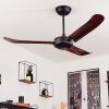 Virrik Deckenventilator Braun, Schwarz, Fernbedienung