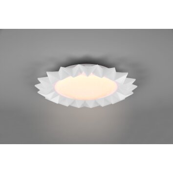 Reality Sunflower Deckenleuchte LED Weiß, 2-flammig, Fernbedienung, Farbwechsler Reality Sunflower Deckenleuchte LED Weiß, 2-flammig, Fernbedienung, Farbwechsler