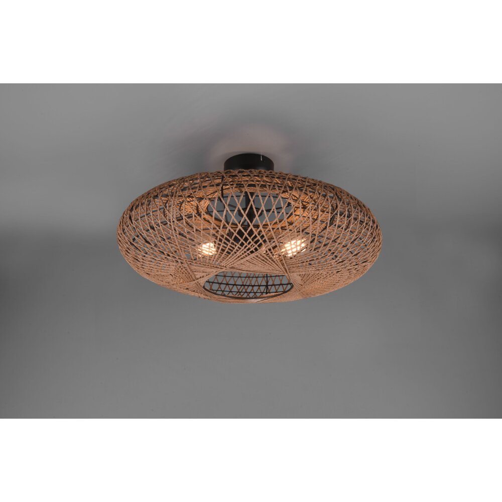 Trio Leuchten Hedda Deckenleuchte Schwarz, 2-flammig main product photo