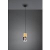 Trio Leuchten Robin Pendelleuchte Messing, 1-flammig