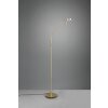 Trio Leuchten Monza Stehleuchte LED Messing, 1-flammig
