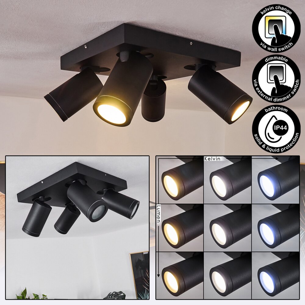 Hakamken Deckenleuchte LED Schwarz, 4-flammig main product photo