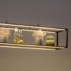 Paul Neuhaus CONNI Pendelleuchte LED Schwarz, 4-flammig