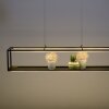 Paul Neuhaus CONNI Pendelleuchte LED Schwarz, 4-flammig