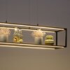 Paul Neuhaus CONTURA Pendelleuchte LED Schwarz, 4-flammig