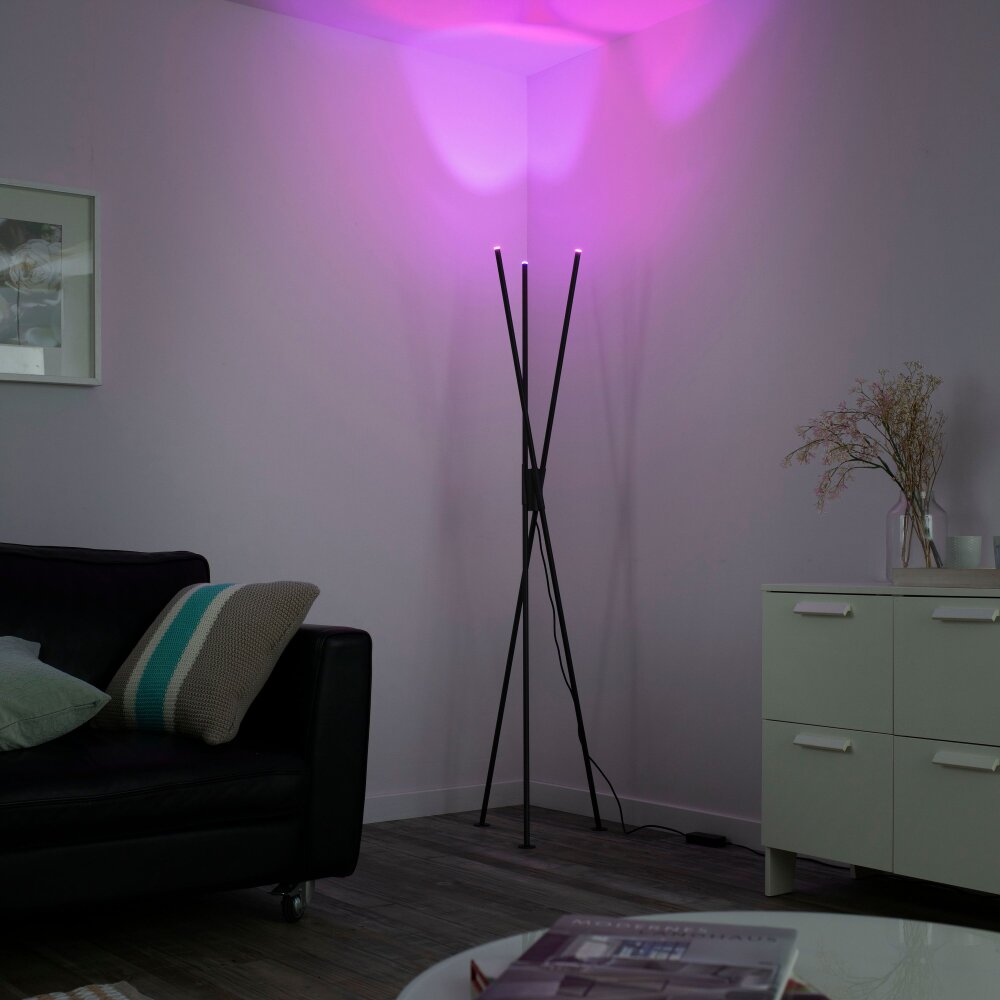 Paul Neuhaus Q-PETER Stehleuchte LED Anthrazit, 3-flammig, Fernbedienung main product photo