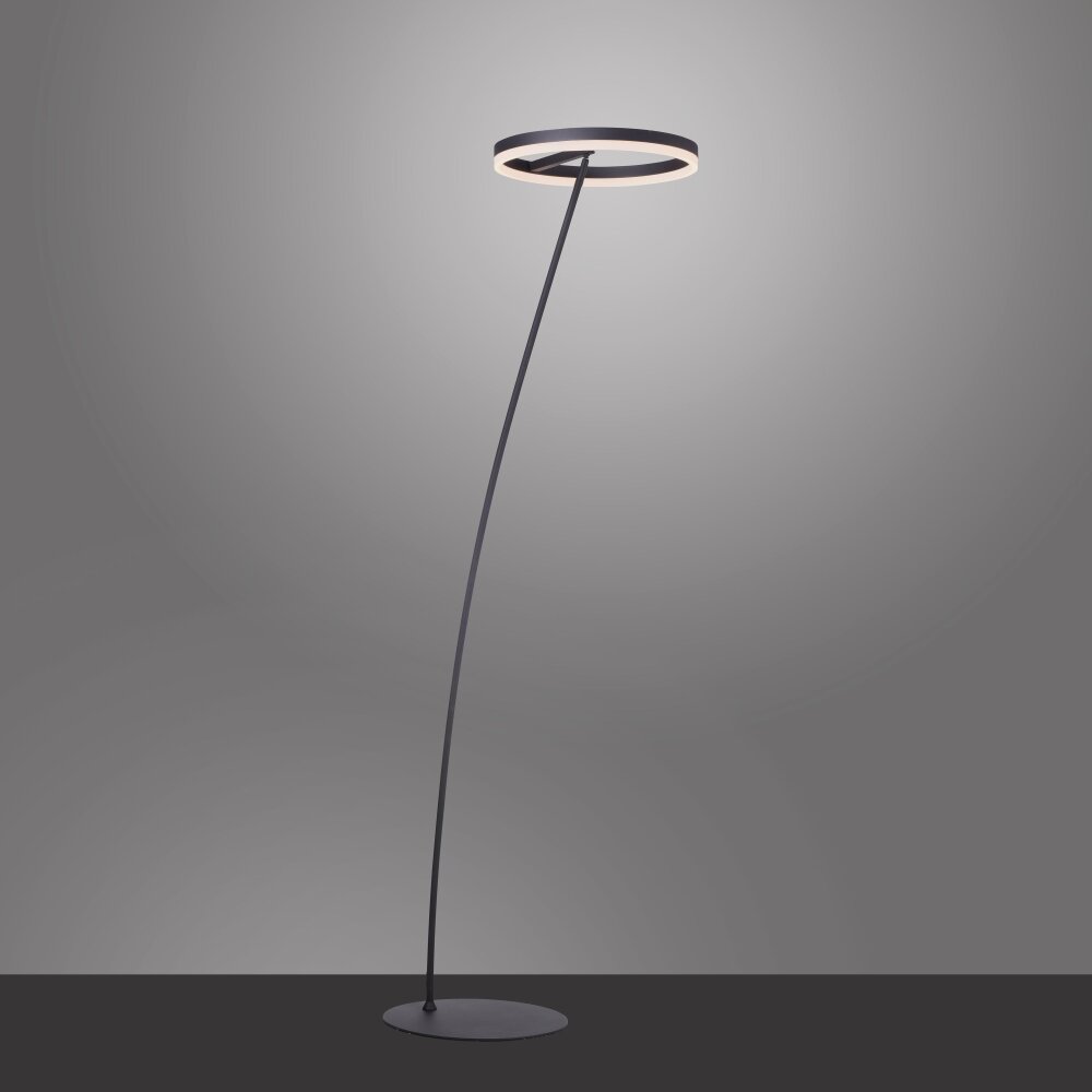 Paul Neuhaus TITUS Stehleuchte Anthrazit, 1-flammig main product photo
