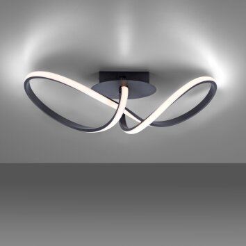 Leuchten Direkt MARIA Deckenleuchte LED Schwarz, 1-flammig