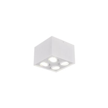 Trio Leuchten BISCUIT Deckenleuchte Weiß, 4-flammig Trio Leuchten BISCUIT Deckenleuchte Weiß, 4-flammig