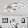 Sorte   Deckenleuchte LED Nickel-Matt, 1-flammig