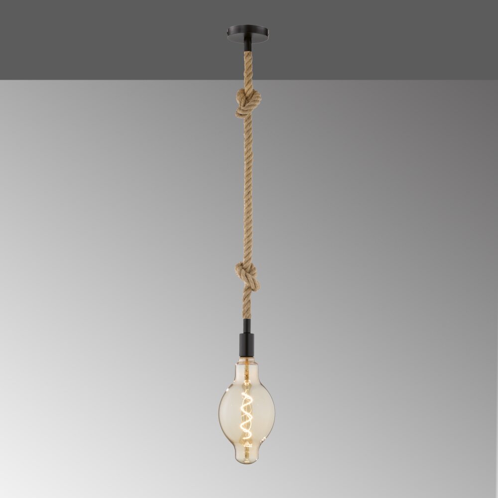 Fischer & Honsel Rope Pendelleuchte Schwarz, 1-flammig main product photo
