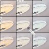 Cham Deckenleuchte LED Chrom, Weiß, 2-flammig, Fernbedienung, Farbwechsler Cham Deckenleuchte LED Chrom, Weiß, 2-flammig, Fernbedienung, Farbwechsler
