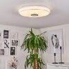Cham Deckenleuchte LED Chrom, Weiß, 2-flammig, Fernbedienung, Farbwechsler Cham Deckenleuchte LED Chrom, Weiß, 2-flammig, Fernbedienung, Farbwechsler