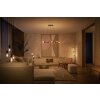 Philips Hue White 2er Set LED E14 4,5 Watt 2100 Kelvin 300 Lumen