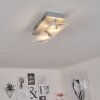 Liestal Deckenleuchte LED Nickel-Matt, 2-flammig