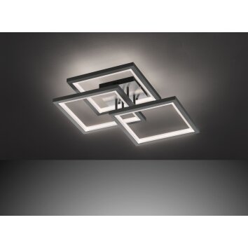 Wofi Leuchten MURIEL Deckenleuchte LED Grau, 1-flammig