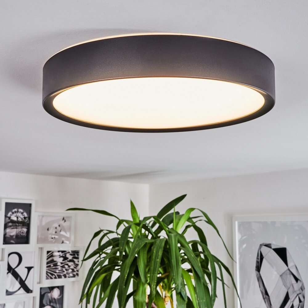 Nexo Deckenleuchte LED Schwarz, 1-flammig main product photo