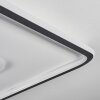 Kolo Deckenleuchte LED Anthrazit, Weiß, 1-flammig, Fernbedienung