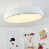 Rhone Deckenleuchte LED Weiß, 1-flammig, Farbwechsler