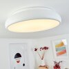 Rhone Deckenleuchte LED Weiß, 1-flammig, Farbwechsler