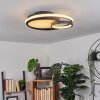 Rafz Deckenleuchte LED Schwarz, 1-flammig