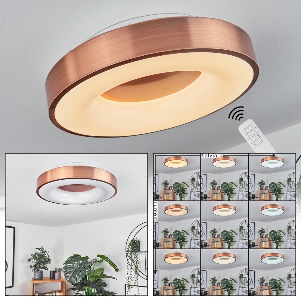 Sachseln Deckenleuchte LED Weiß, 1-flammig main product photo