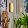 Hutton  Wandleuchte LED Nickel-Matt, 1-flammig