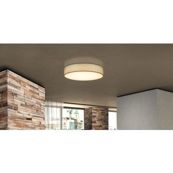 Globo PACO Deckenleuchte LED Nickel-Matt, 1-flammig, Fernbedienung