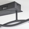 Eaglesham    Deckenleuchte LED Schwarz, 1-flammig