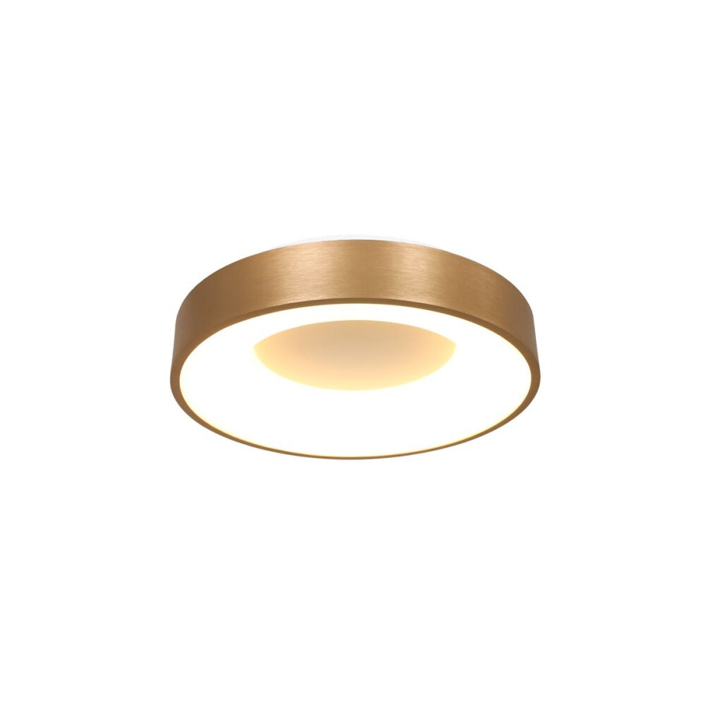 Steinhauer Ringlede Deckenleuchte Gold, 1-flammig main product photo