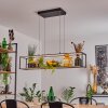 Ranquile Pendelleuchte LED Schwarz, 4-flammig