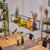 Ranquile Pendelleuchte LED Schwarz, 4-flammig