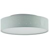 Brilliant Leuchten Baska Deckenleuchte LED Silber, 1-flammig