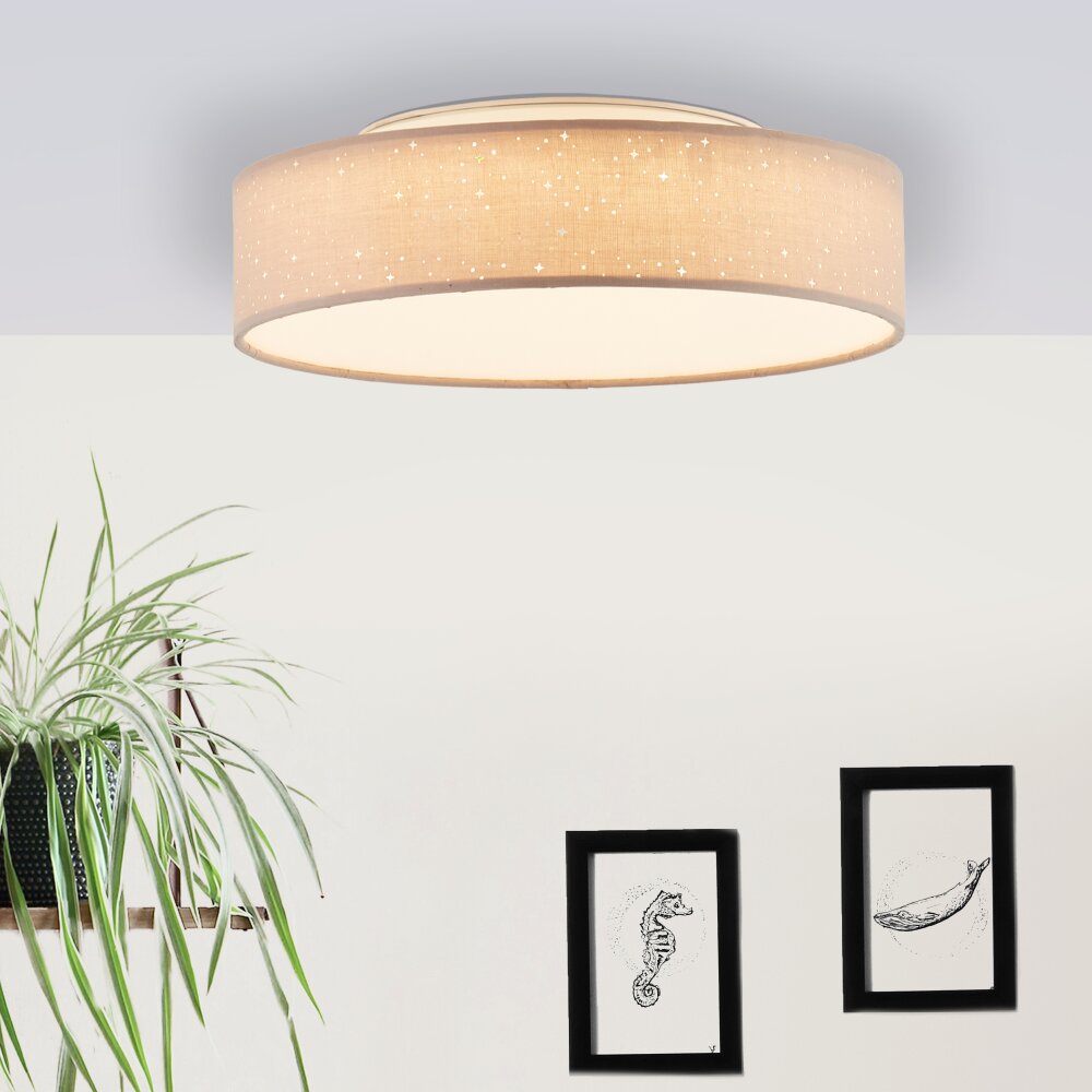 Brilliant Leuchten Baska Deckenleuchte LED Silber, 1-flammig main product photo