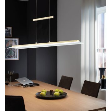 Fischer & Honsel Roof Pendelleuchte LED Messing, 1-flammig Fischer & Honsel Roof Pendelleuchte LED Messing, 1-flammig