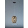 Fischer & Honsel Hummel Pendelleuchte Schwarz, 1-flammig