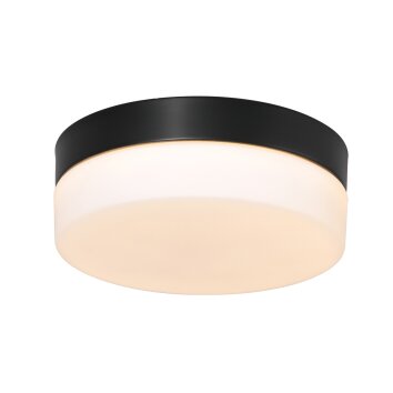Steinhauer Ikaro Deckenleuchte LED Schwarz, 1-flammig Steinhauer Ikaro Deckenleuchte LED Schwarz, 1-flammig