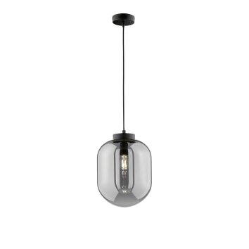 Fischer & Honsel Regi Pendelleuchte Schwarz, 1-flammig Fischer & Honsel Regi Pendelleuchte Schwarz, 1-flammig