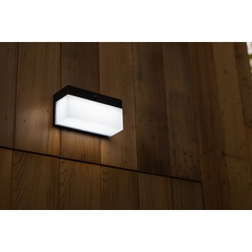 Lutec Lampen FRAN Außenwandleuchte LED Schwarz, 1-flammig, Bewegungsmelder