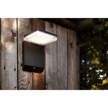 Lutec Lampen MOZE Außenwandleuchte LED Schwarz, 1-flammig, Bewegungsmelder
