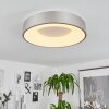 Playas Deckenleuchte LED Silber, Weiß, 1-flammig