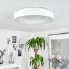 Playas Deckenleuchte LED Weiß, 1-flammig