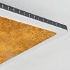 Guacacallo Deckenpanel LED Gold, Schwarz, Weiß, 1-flammig